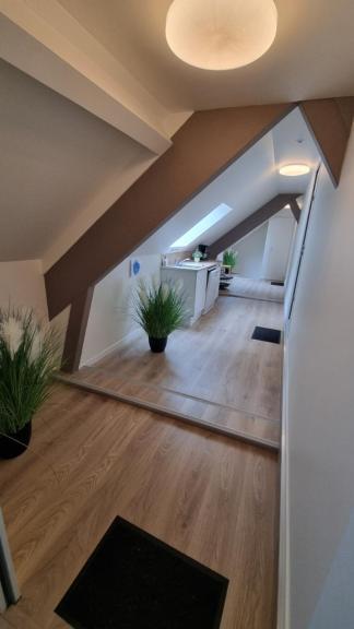 Les Chalets De Saumur, Piscine & Parc Boise, 100M Du Cadrenoir Cameră foto